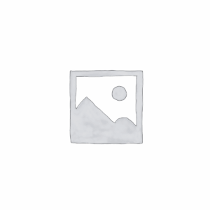 Grill Panini Professionnel 2 Plaques – Inox pour Professionnel